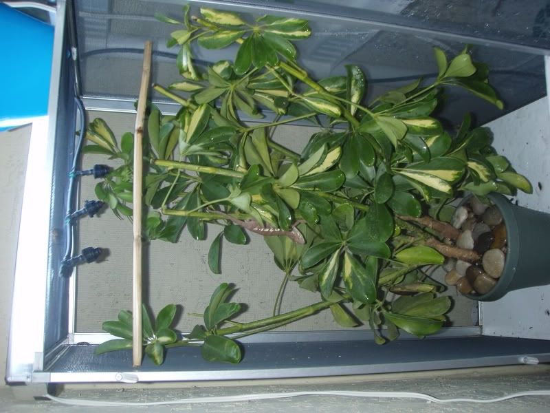 PA040244.jpg
