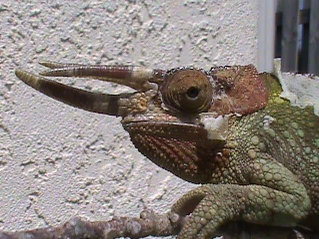 DSC00007.jpg