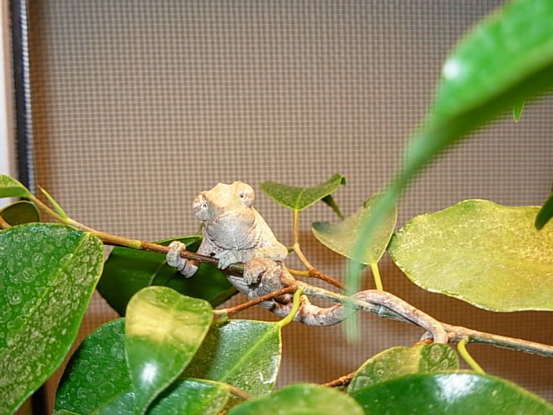 DSCN1402.jpg