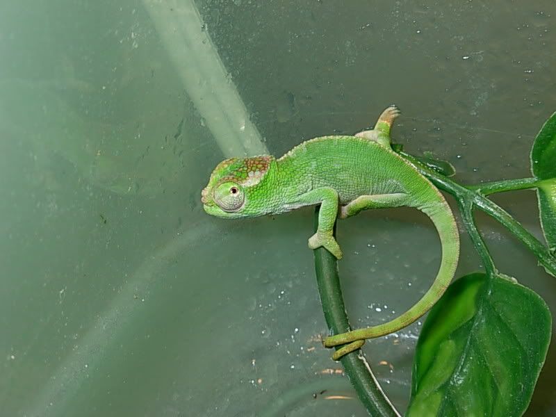 DSCN0568.jpg