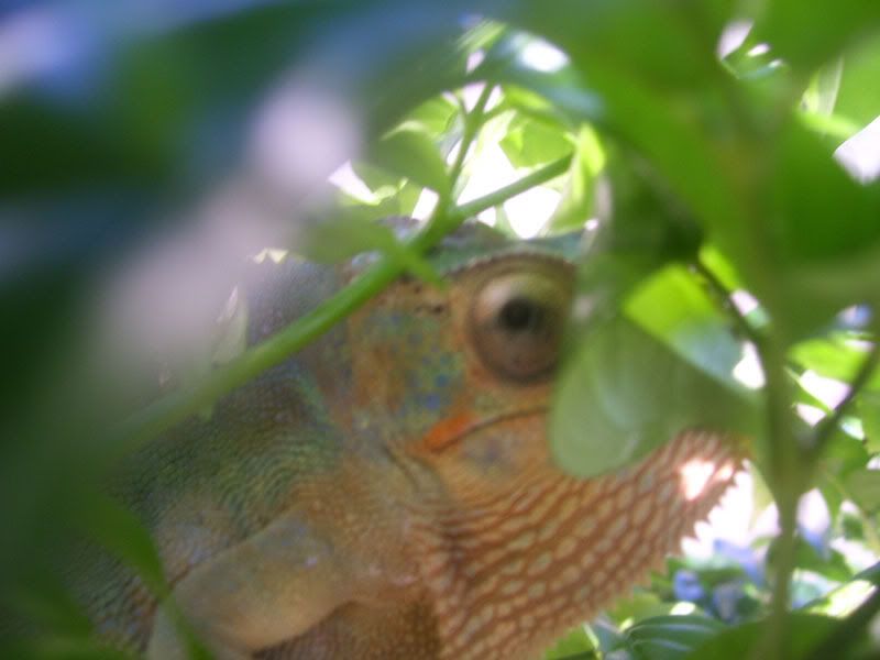 100_6794.jpg