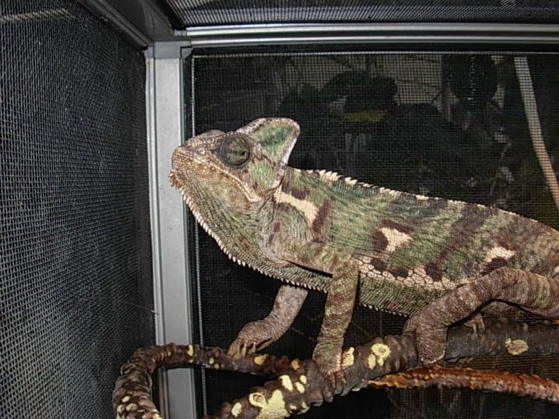 DSCN8268.jpg