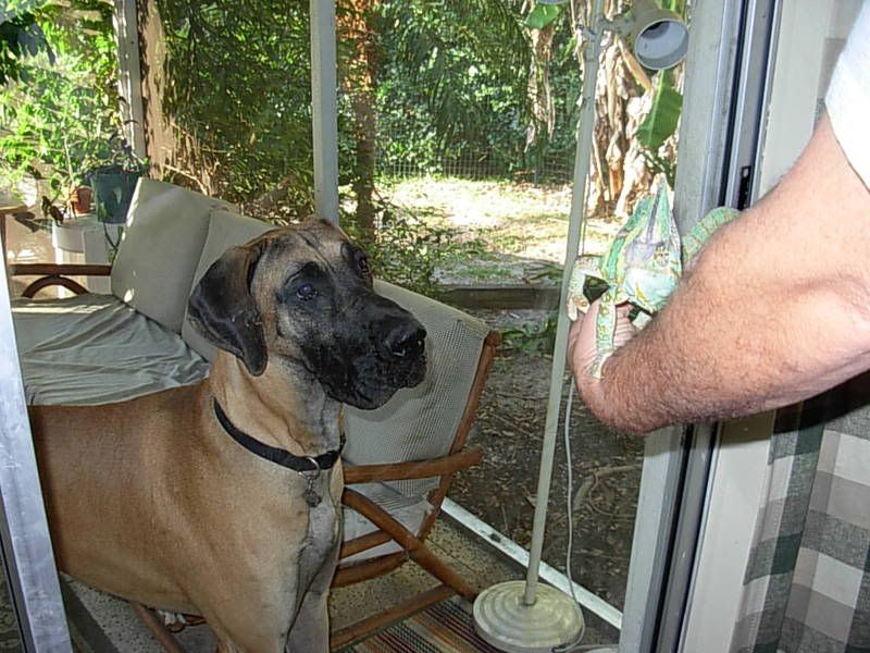 DSCN1391.jpg