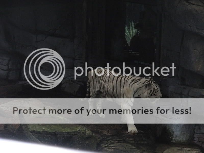DSCN1787.jpg