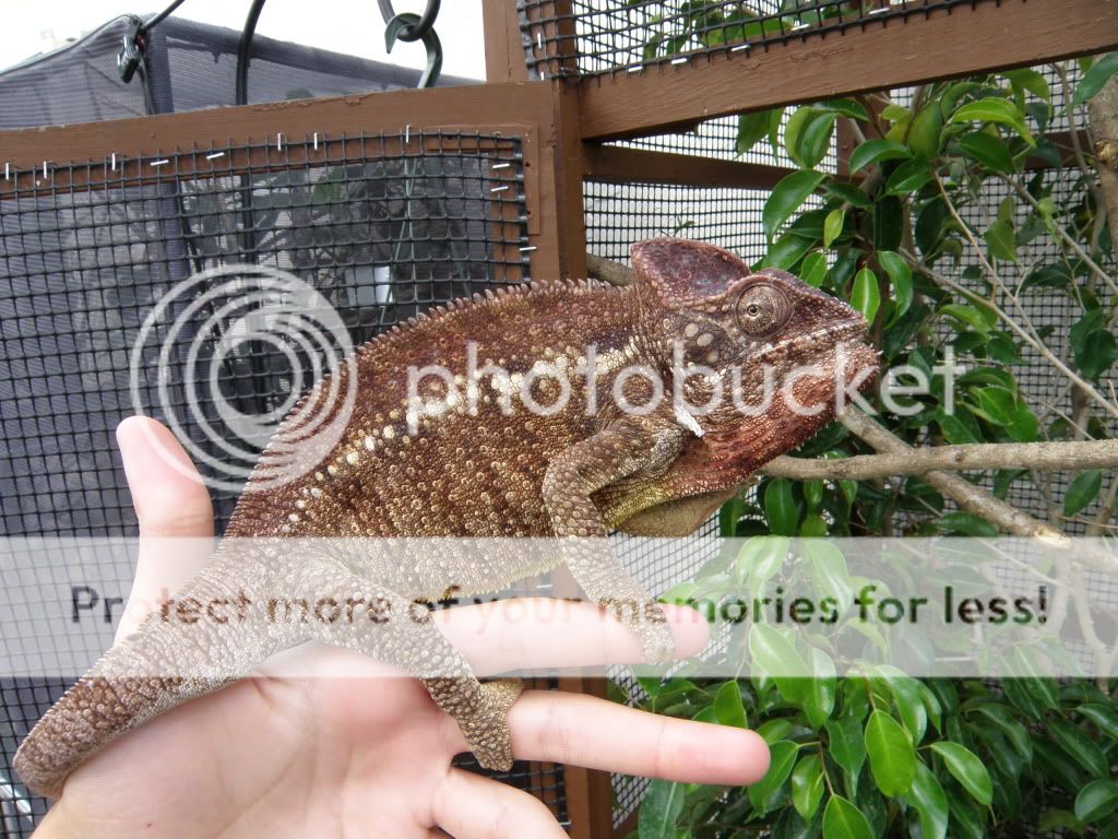 PB210785.jpg