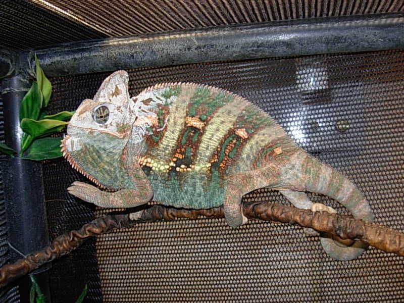DSCN3847.jpg
