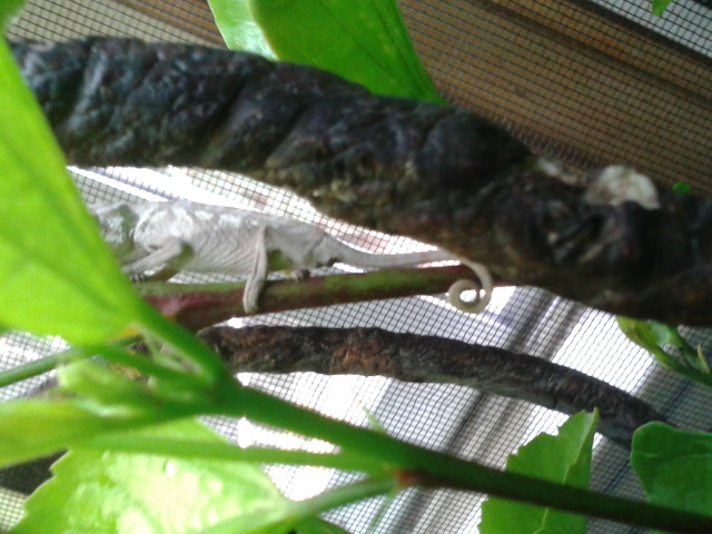 2012_10_22_12_13_42.jpg