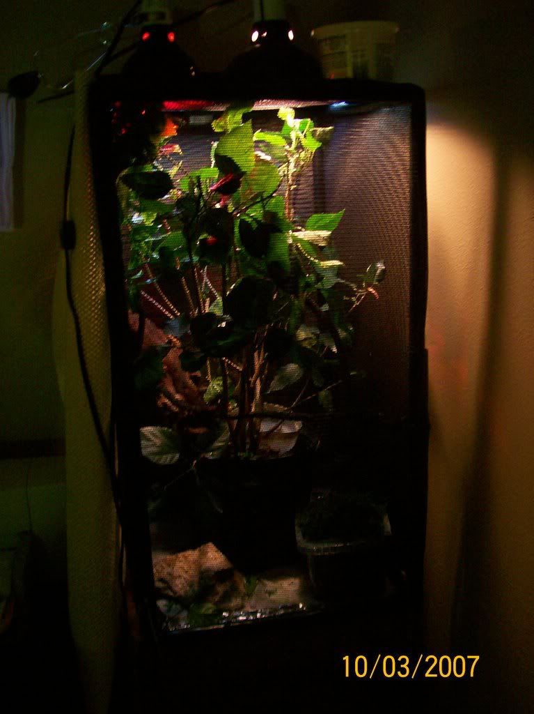 000_0007-2.jpg
