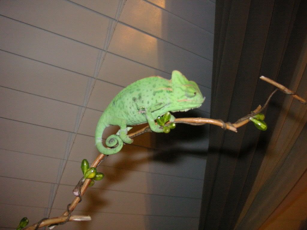 PICT0022.jpg