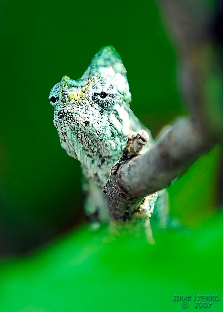 _DSC9057web.jpg