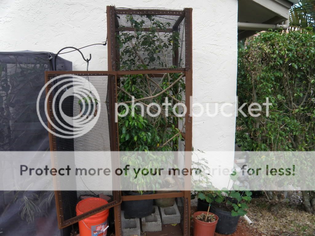 PB210782.jpg