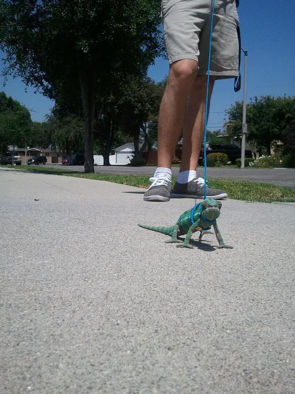 2011-04-29120407.jpg