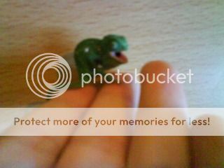 facebbookbabyfotos028.jpg