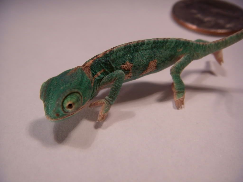 DSCN1351.jpg