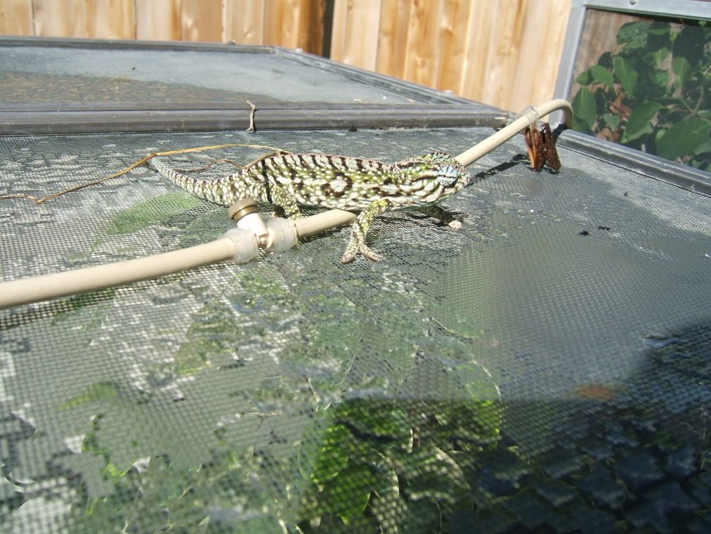 DSCF7785.jpg