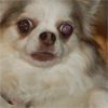 3d525f08e19b0844d713e14823f1e63dce60ee1_s.gif