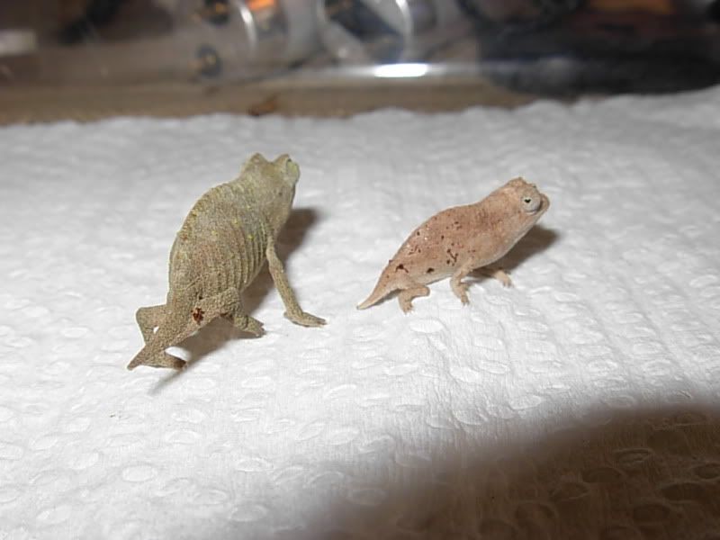 DSCN5128.jpg