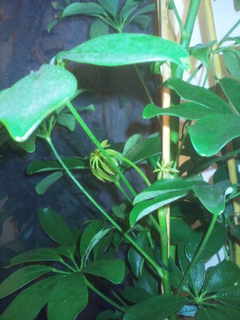 Photo0409.jpg