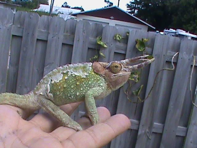 DSC00008.jpg