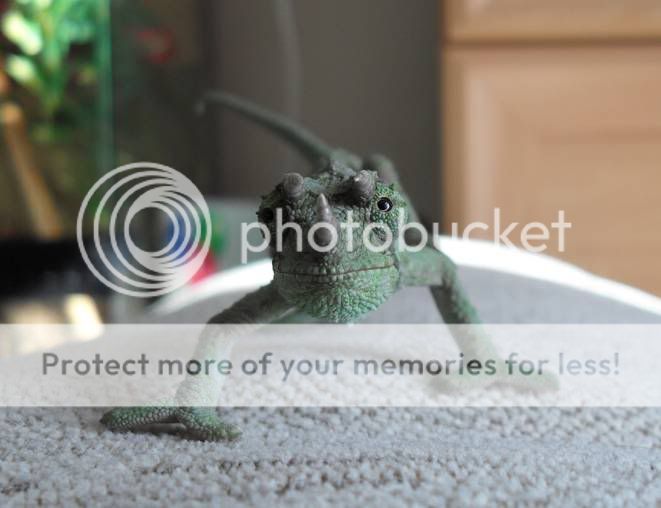 Monty-1.jpg