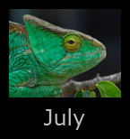 july.jpg