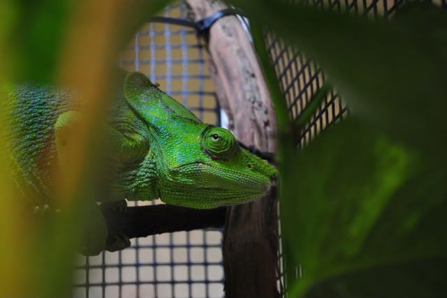 DSC_0072.jpg