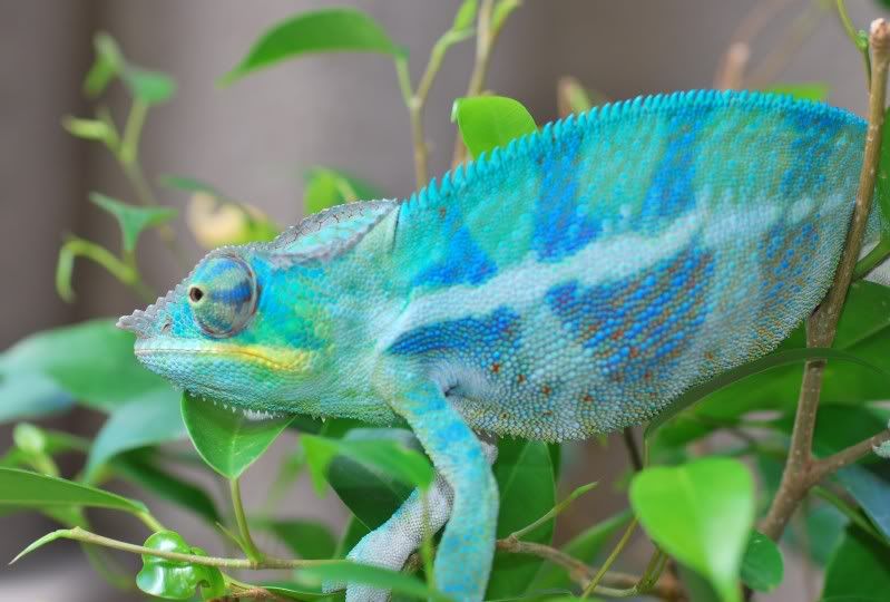 colorstair.jpg