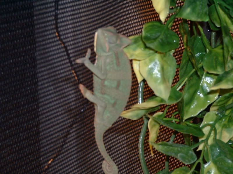 DSCF0014.jpg