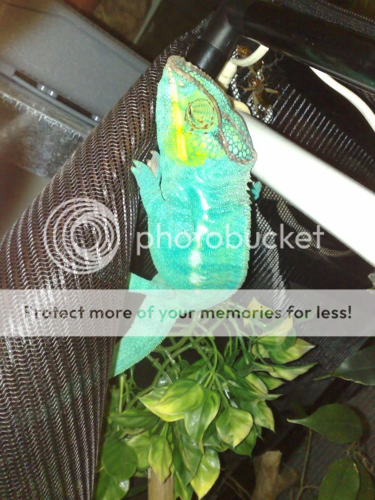 19092008195.jpg