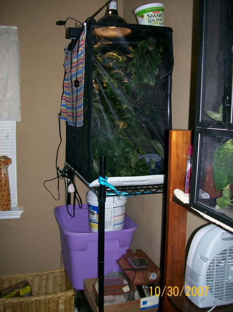 000_0006_00-2.jpg
