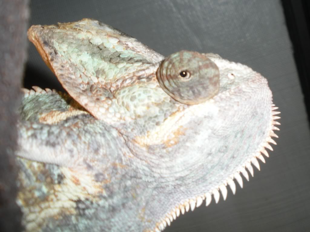 DSCN3152.jpg