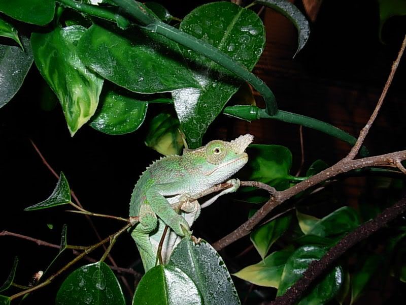 DSCN1105.jpg