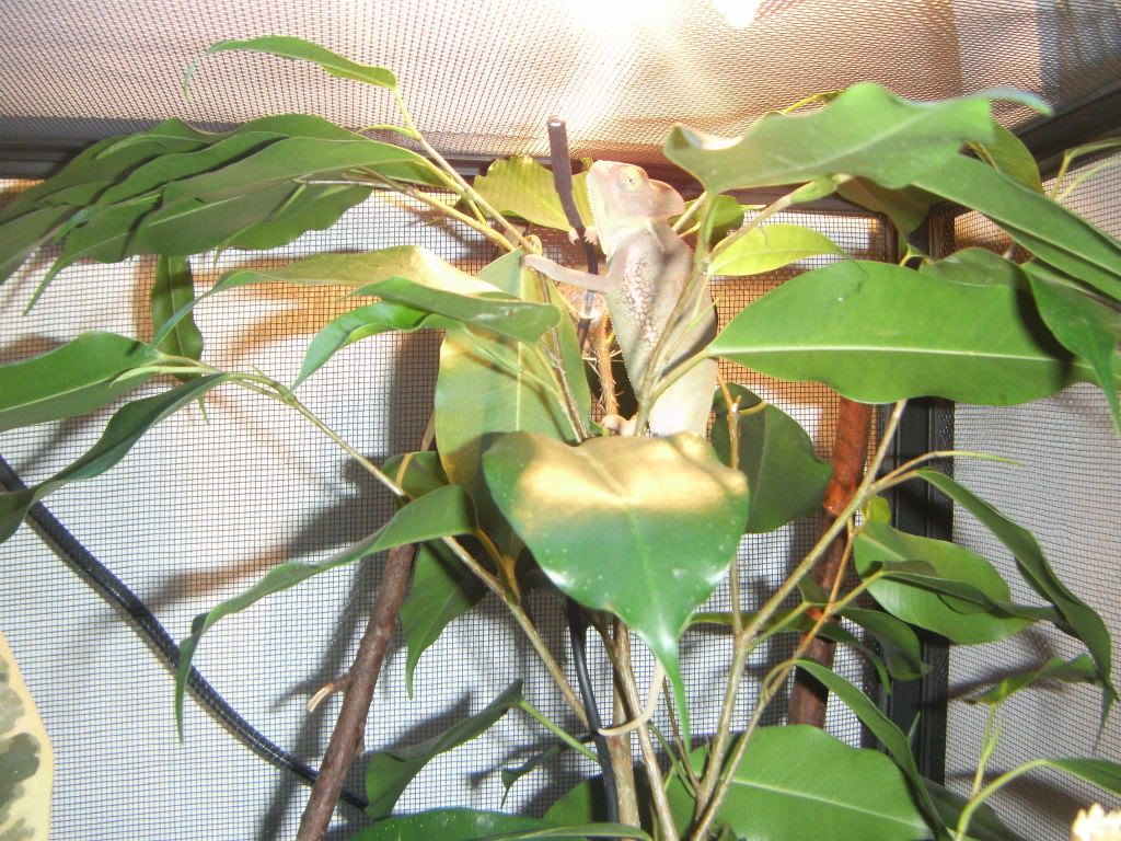 PICT0116.jpg