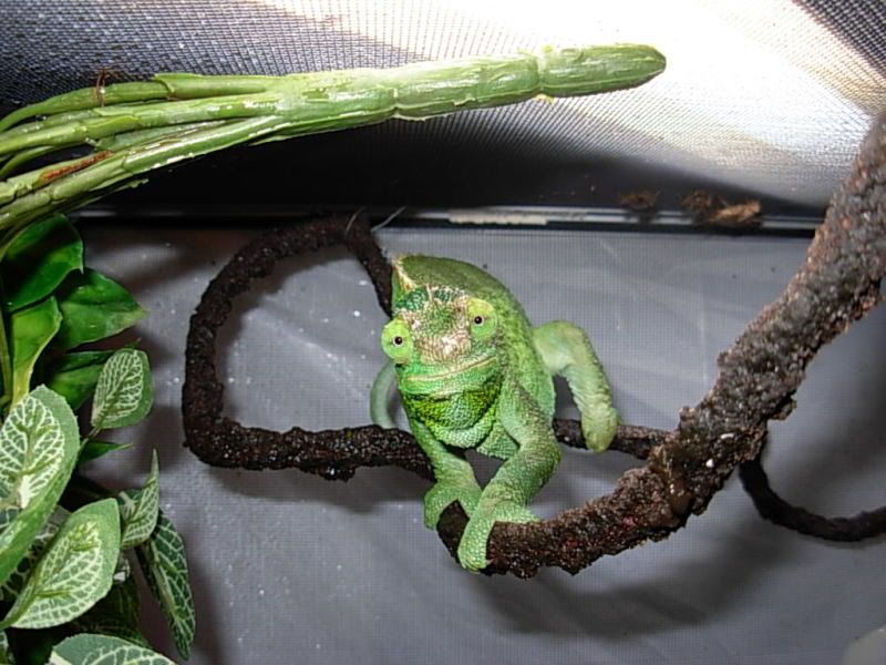 DSCN3416.jpg
