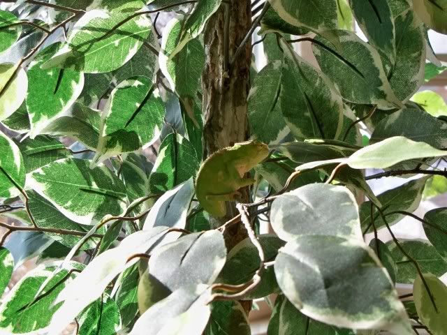 100_0624.jpg
