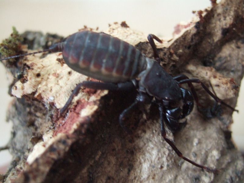 DSCF5677.jpg