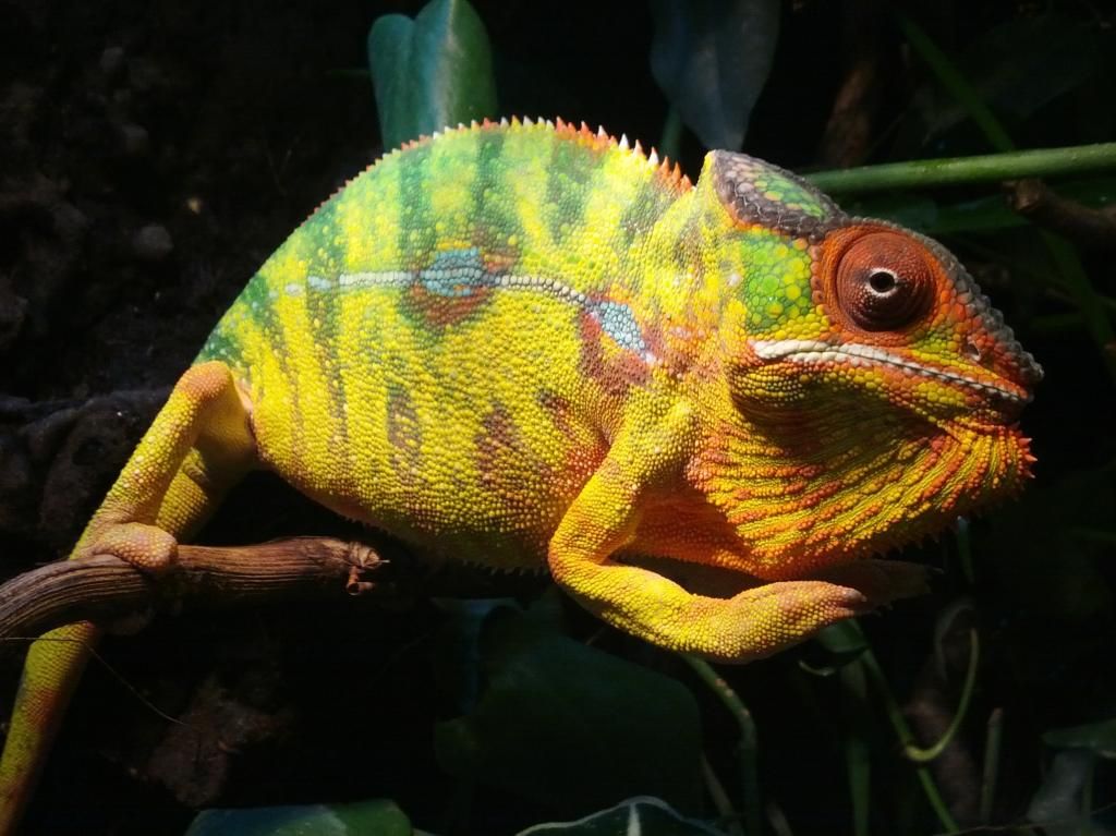 2012-10-10090125.jpg