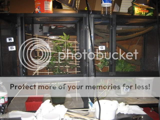 IMG_1143.jpg
