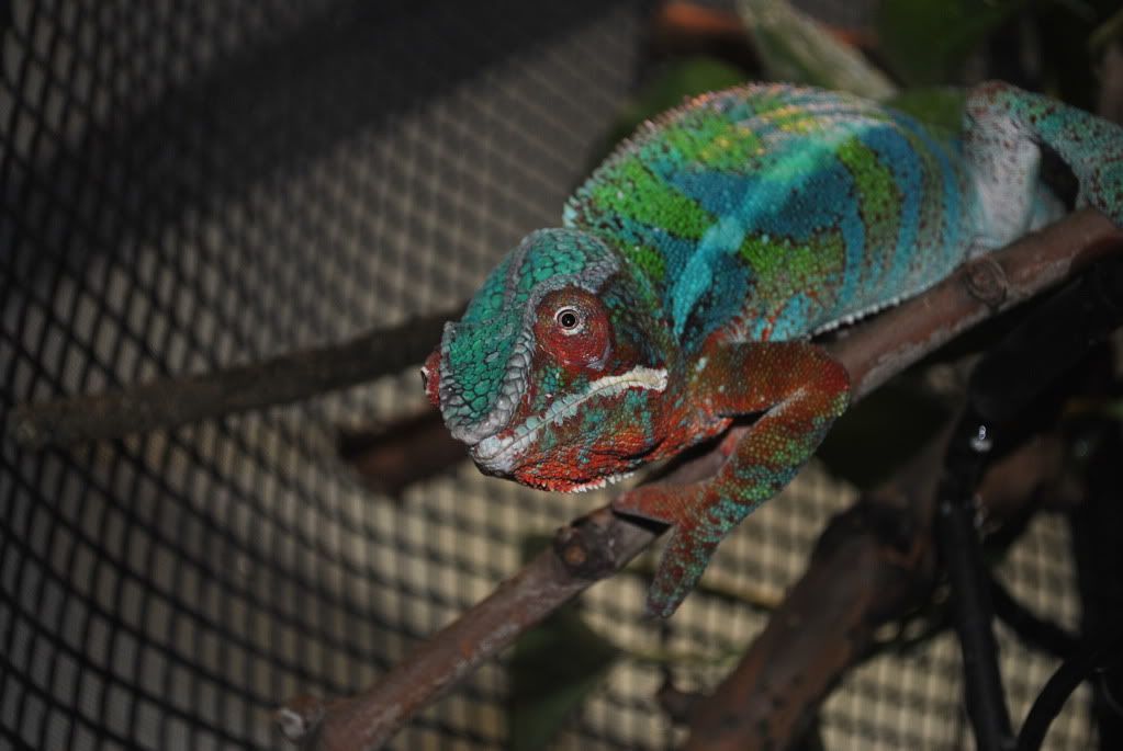 DSC_00813.jpg