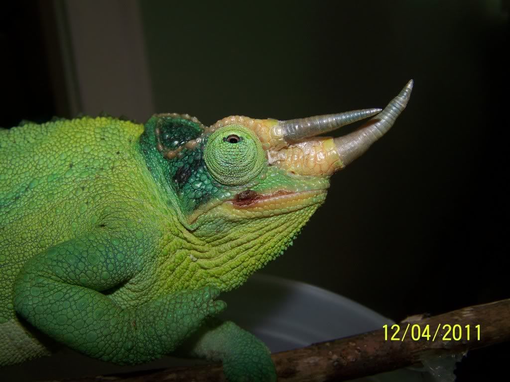 100_5729.jpg