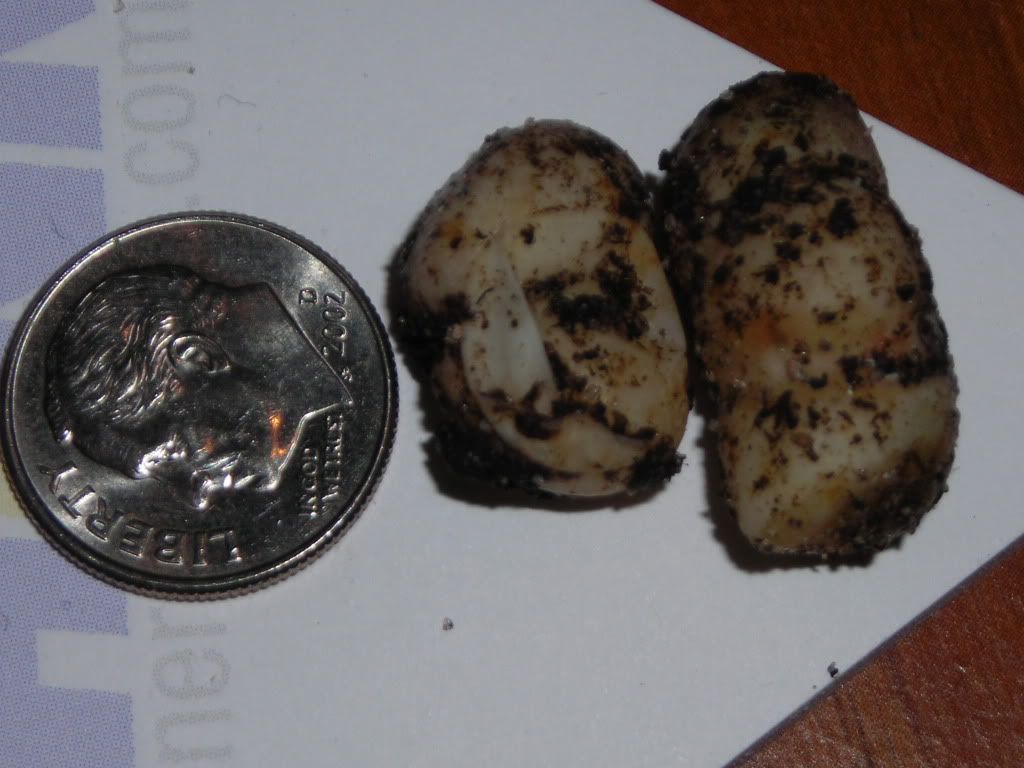 DSCN5629.jpg