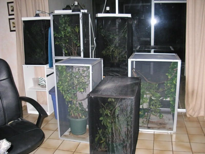 DSCN3076.jpg