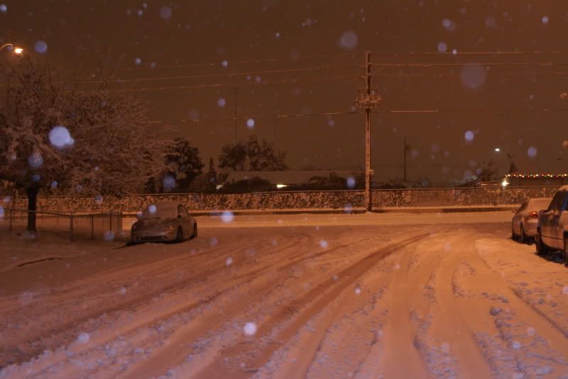 snow044.jpg
