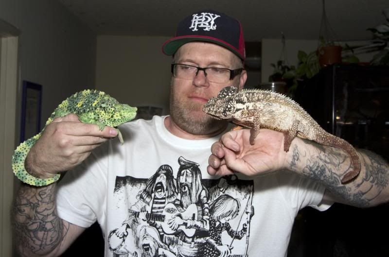 02162013_Bogie_lucky_zpsa820e2e1.jpg
