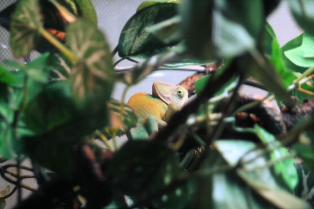 20110727_21.jpg