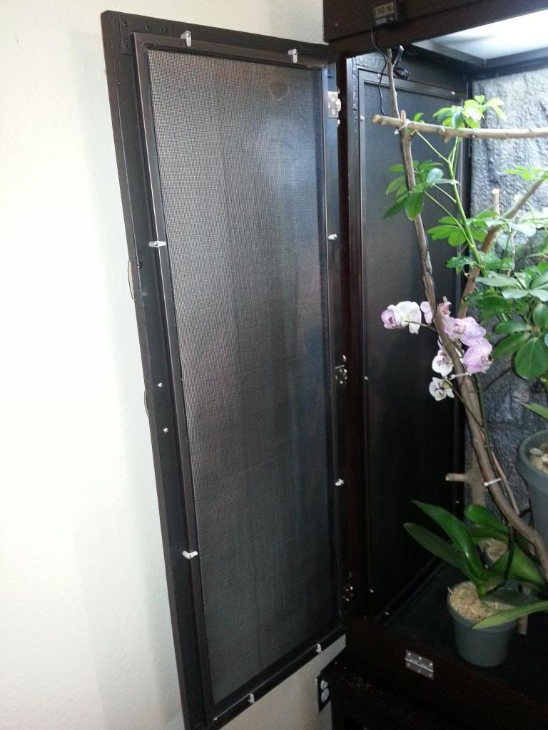 20130210_162532_zps95440034.jpg