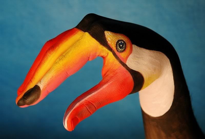 toucan.jpg