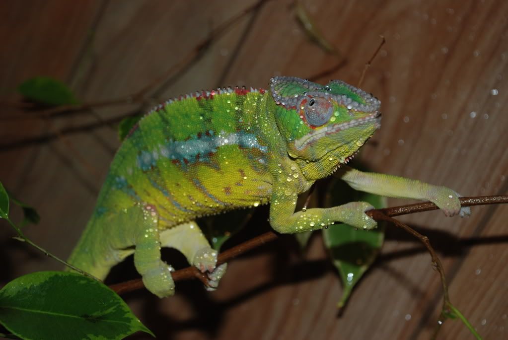 DSC_0261.jpg
