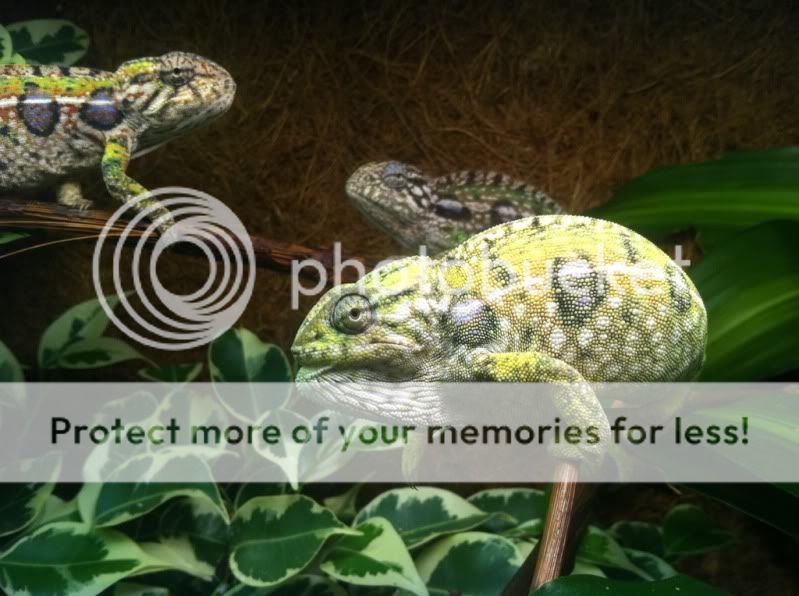 6e5a70e3.jpg