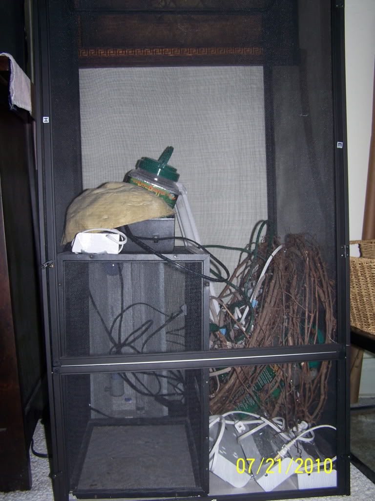 100_3415.jpg